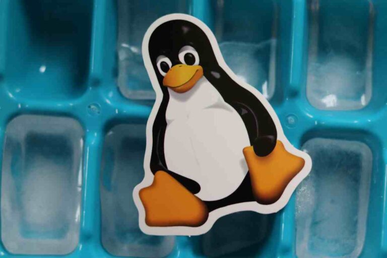 Terminal Linux