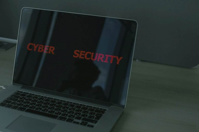 Como Proteger Seus Dados na Internet.